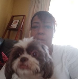 Meet your Posher, Robin